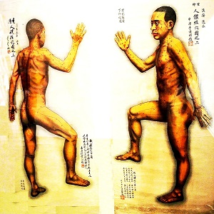 Schema dei meridiani secondo la medicina tradizionale cinese